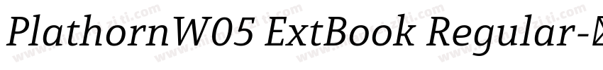 PlathornW05 ExtBook Regular字体转换